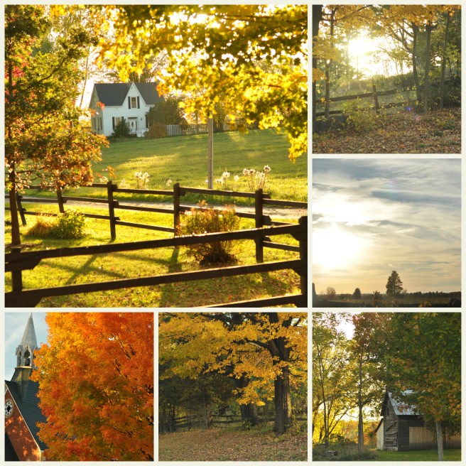 Collage_Walk in Middleville