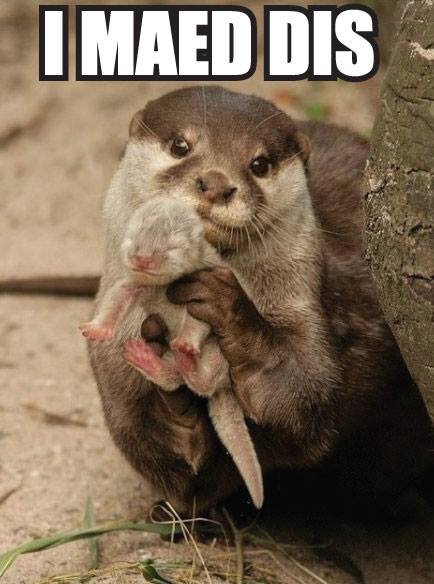 43950257_10156569090891278_3450319568734519296_n